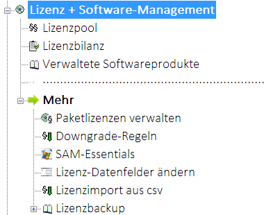 Lan-Inspector 12 – Screenshot zu Lizenz- und Software-Management