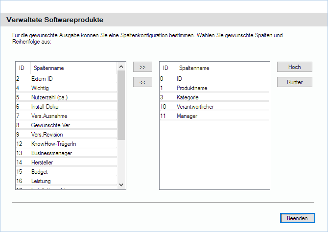Lan-Inspector 12 – Screenshot zu Ausgabespalten