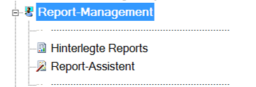 Lan-Inspector 12 – Screenshot zu Report-Management