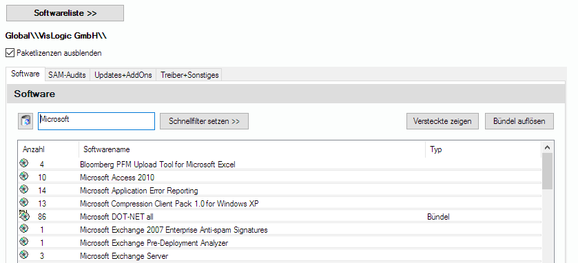 Lan-Inspector 12 – Screenshot zu Software-Tab
