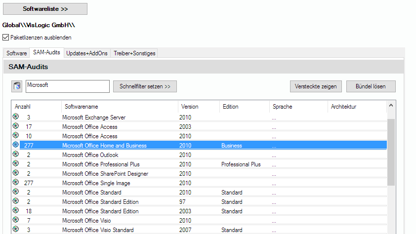 Lan-Inspector 12 – Screenshot zu SAM-Audit-Tab