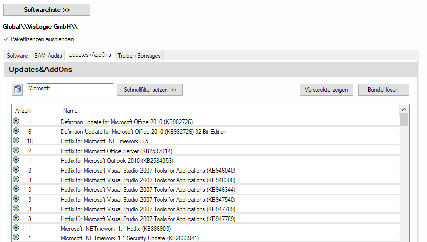 Lan-Inspector 12 – Screenshot zu Updates und AddOns-Tab