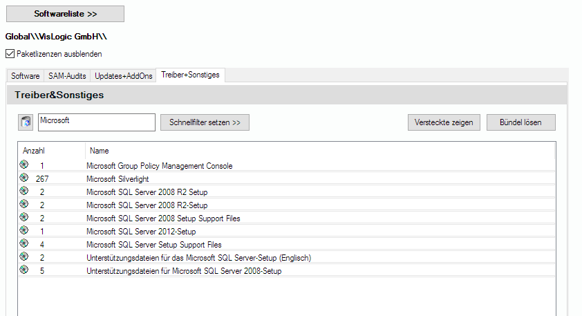 Lan-Inspector 12 – Screenshot zu Treiber und Sonstiges-Tab