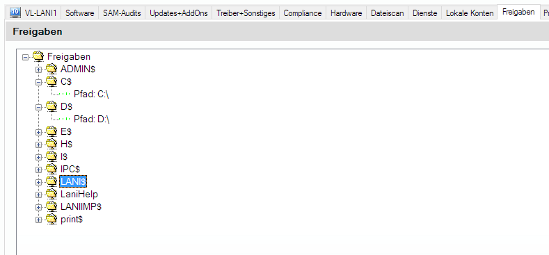 Lan-Inspector 12 – Screenshot zu Rechner-Objekt: Lokale Freigaben