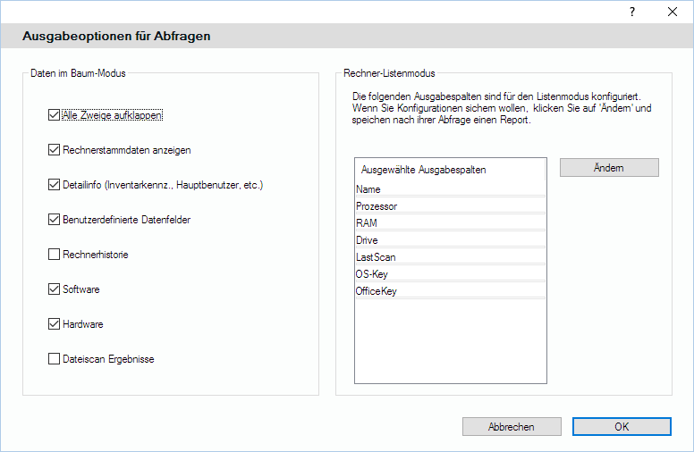 Lan-Inspector 12 – Screenshot zu Button Ausgabeoptionen