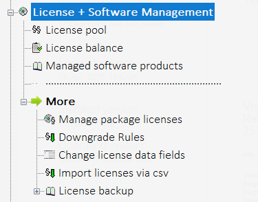 Lan-Inspector 12 screenshot for License and Software Management