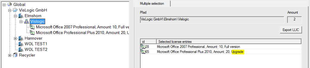 Lan-Inspector 12 screenshot for License-specific Upgrade Rules
