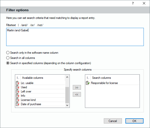 Lan-Inspector 12 screenshot for Advanced filters for License Balances