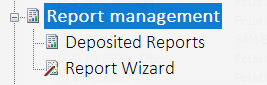 Lan-Inspector 12 screenshot for Report Management